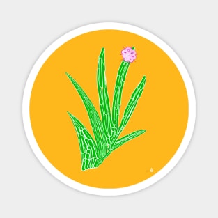 cactus Magnet